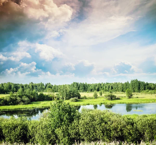 Bellissimo prato serale — Foto Stock