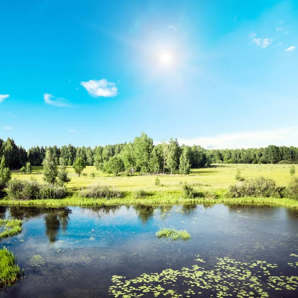 Güzel bir akşam çayır