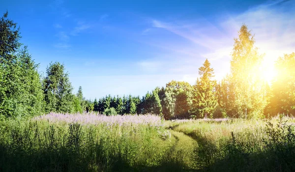 Landstraßenlandschaft — Stockfoto