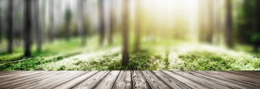 Vahşi orman manzarası