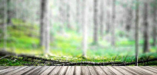 Zomer landschap duidelijk panorama — Stockfoto