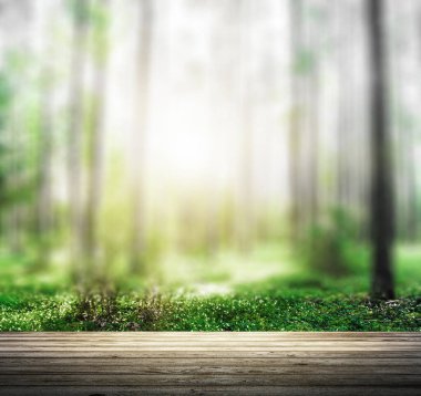 Vahşi orman manzarası