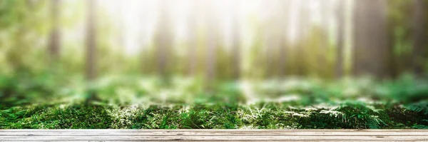 Gyönyörű erdei — Stock Fotó