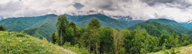 Dağ orman ve bulutlar