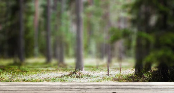 Ecology background outdoor landscape