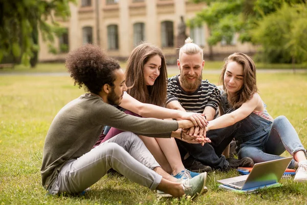 Multiethnic sudents sitting on lawn holding hands together. — Stock Photo, Image