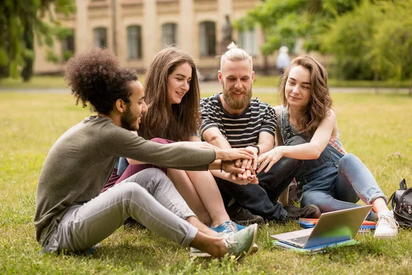 Група студентів, які сидять на траві в університетському саду . — стокове фото