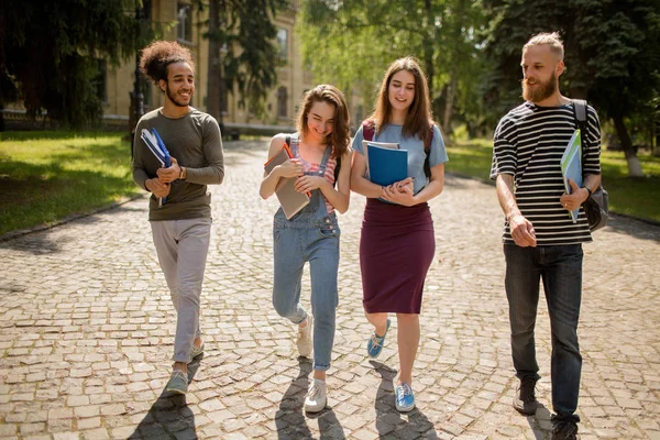 Estudiantes multiétnicos caminando en el campus en un día soleado . — Foto de Stock