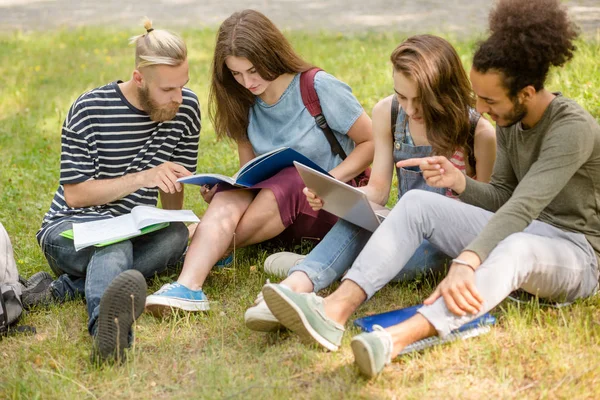 Estudiantes multiétnicos sentados juntos en la hierba, estudiando . — Foto de Stock