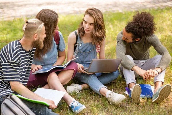 Giovani studenti del campus che imparano insieme . — Foto Stock