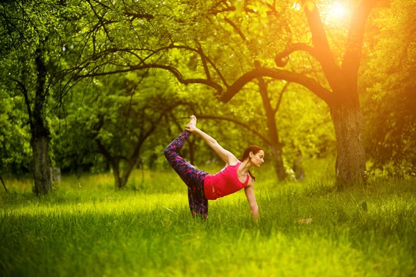 Het beoefenen van yoga asana's in de natuur. — Stockfoto