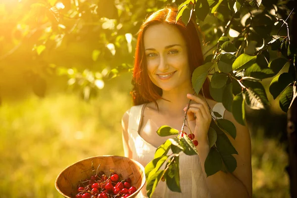 Giovane signora in giardino raccogliendo ciliegie in una ciotola . — Foto Stock