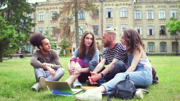 Студенты в университетском парке сидят на газоне . — стоковое видео