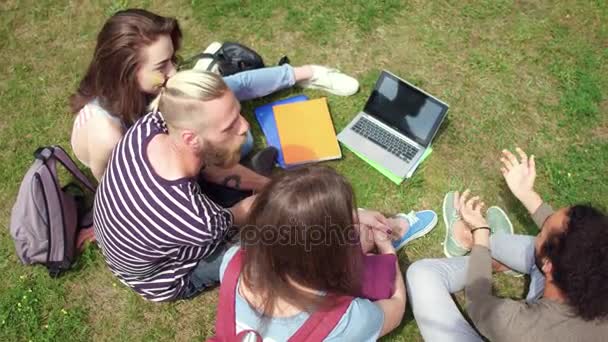 Vista desde arriba de jóvenes estudiantes sentados en la hierba comunicándose . — Vídeo de stock