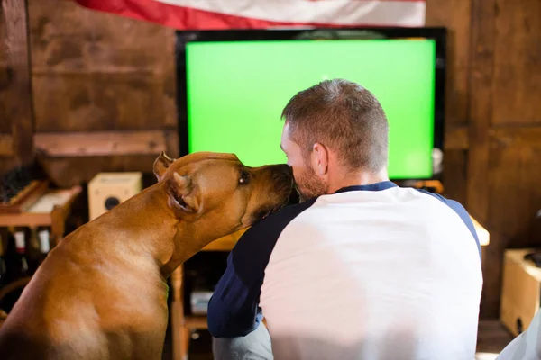 Rear view of man and his dog companion sitting on couch. — Stock Photo, Image