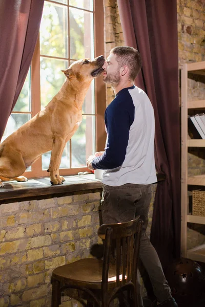 Staffordshire Terriër likken gezicht van jonge sportieve man. — Stockfoto