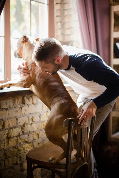 Hombre deportivo y su perro de pie junto al alféizar de la ventana . — Foto de Stock