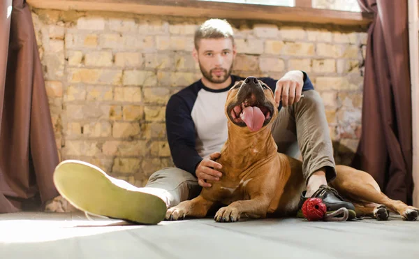 Młody człowiek siedzi na podłodze towarzystwie staffordshire terrier. — Zdjęcie stockowe