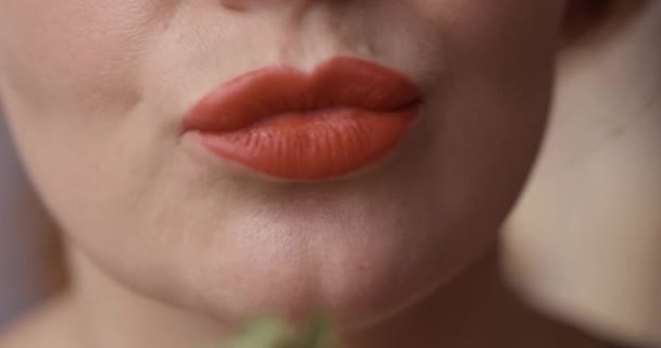 Morgen schönes Make-up — Stockvideo