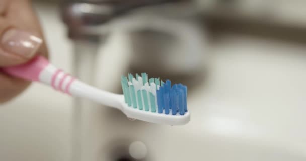 Dentifrice brosse à dents isolée — Video