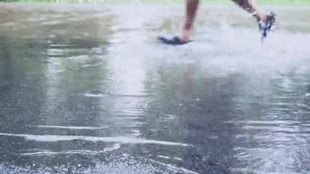 Lluvia en la calle — Vídeo de stock