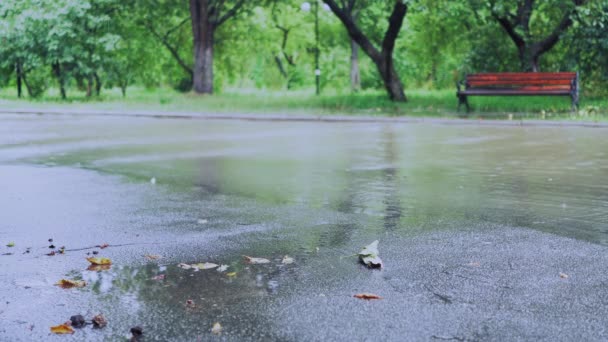 Chuva na rua verde — Vídeo de Stock