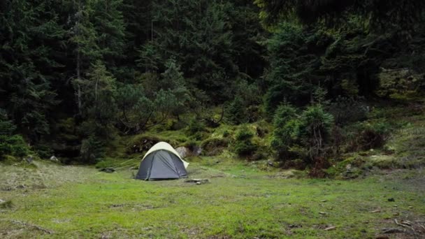 Ein graues Zelt campt im Freien — Stockvideo