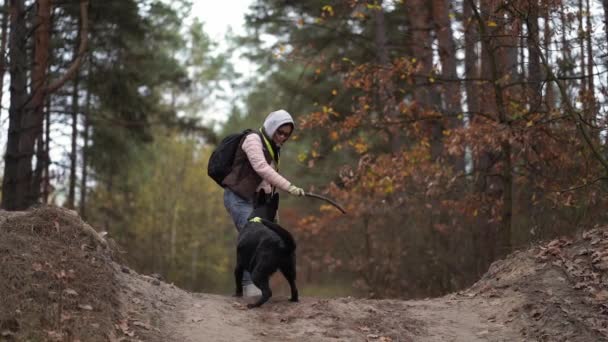 Mujer y su amada mascota entrenando en el bosque — Vídeos de Stock
