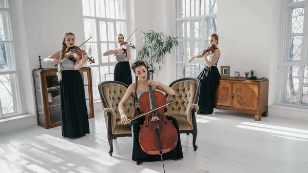 Musical Quartet And Its Perfomance — 스톡 사진