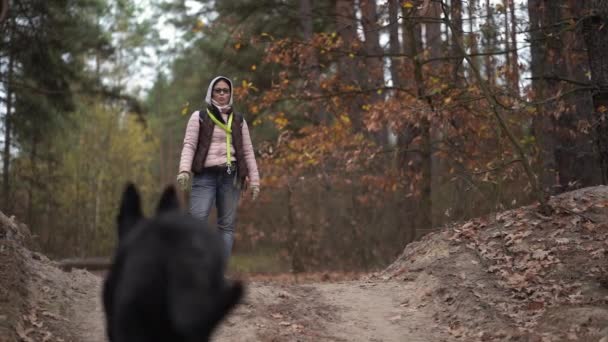 新鮮な空気で犬の訓練 — ストック動画