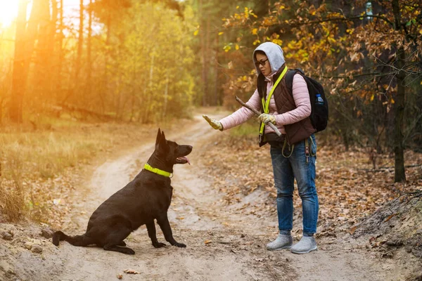 Mujer entrena a un perro mientras camina en el bosque — Foto de Stock