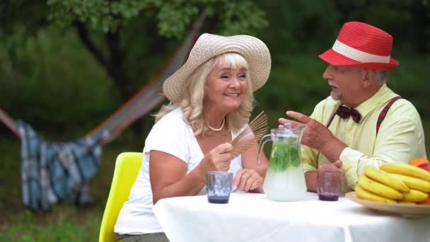 Happy Elderly Couple Enjoying Each Others Company — Stok video
