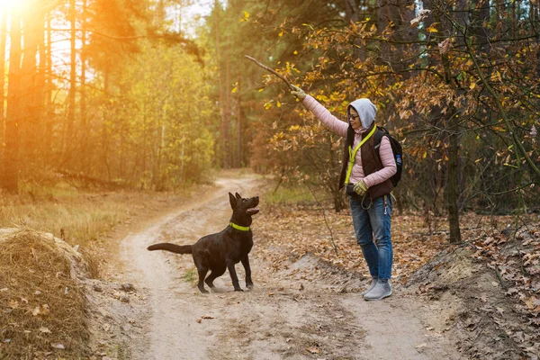 Mujer y perro disfrutar caminando viaje en el bosque — Foto de Stock
