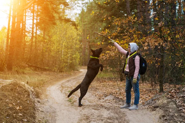 Wanita berjalan dengan anjingnya di hutan musim gugur — Stok Foto