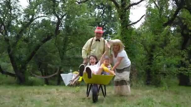 Oma und Opa fahren ihre Enkel in einer Schubkarre — Stockvideo
