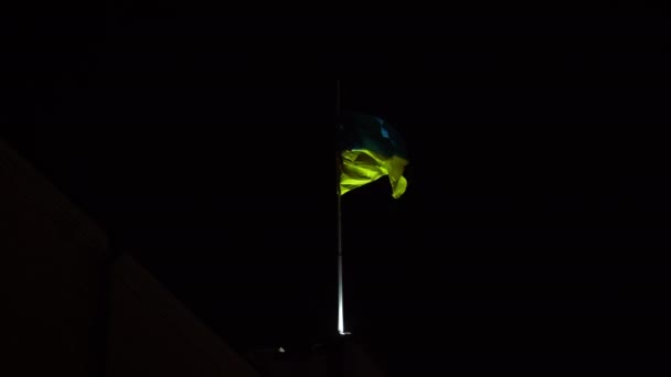 Ukrainian National Flag Waving In The Dark Sky — ストック動画