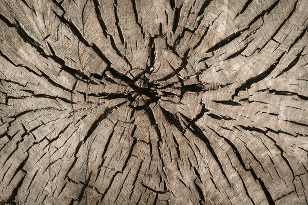 Fundo de textura de madeira envelhecida — Fotografia de Stock