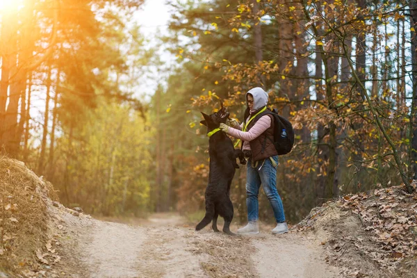 Mujer entrenando su perro en bosque al aire libre — Foto de Stock