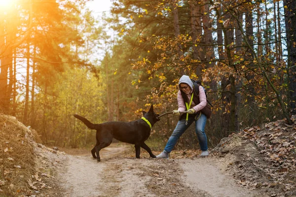 Mujer y negro puro pastor en la naturaleza al aire libre — Foto de Stock