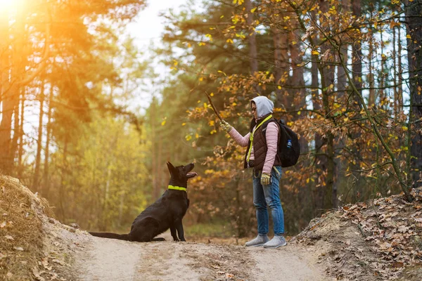 Mujer y perro negro paseando en Forest Road — Foto de Stock