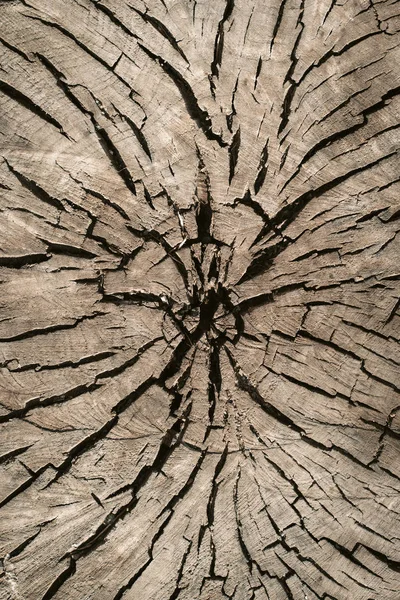 Superfície de madeira texturizada com rachaduras — Fotografia de Stock