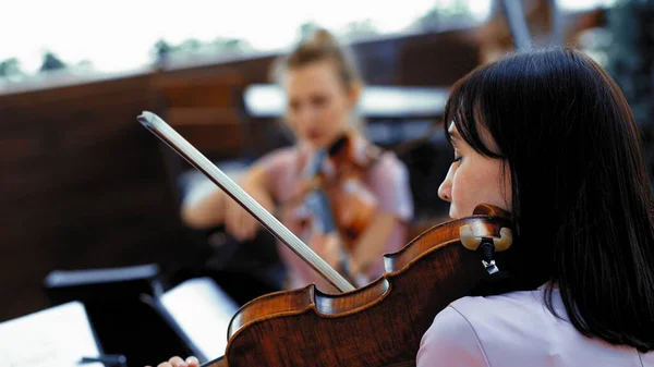 Cerimonia di nozze o concerto classico sulla terrazza estiva — Foto Stock