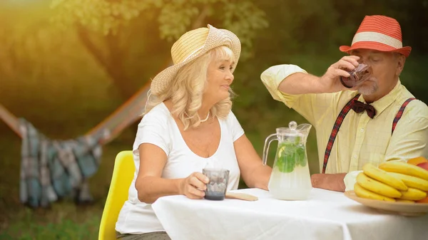 Feliz casal idoso bebendo limonada fria — Fotografia de Stock