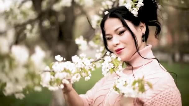 Venku móda krásné asijské dámy v zahradě meruňky květy — Stock video