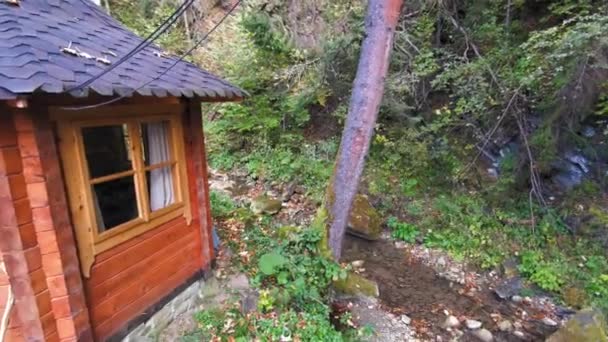 Casa de madera en la orilla de piedra de un pequeño arroyo en un tranquilo bosque oscuro — Vídeo de stock