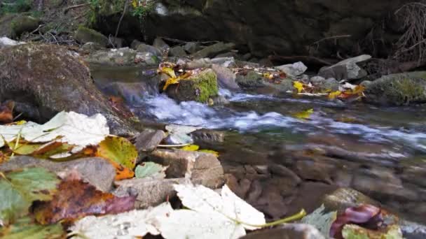 Un ruscello che sta guadagnando forza scendendo da una montagna — Video Stock