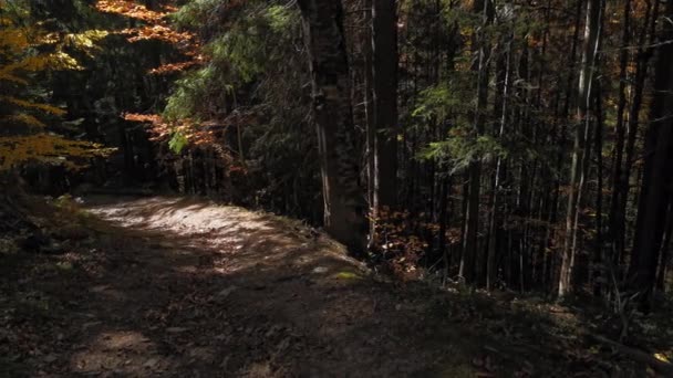 En los montes con la naturaleza salvaje — Vídeos de Stock