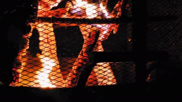 Záběry z krbu, ve kterém hoří kláda — Stock video