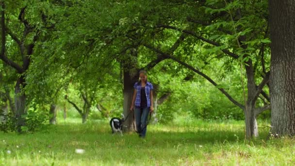 Teenie-Besitzer spaziert mit Hund in Park oder Hinterhof — Stockvideo