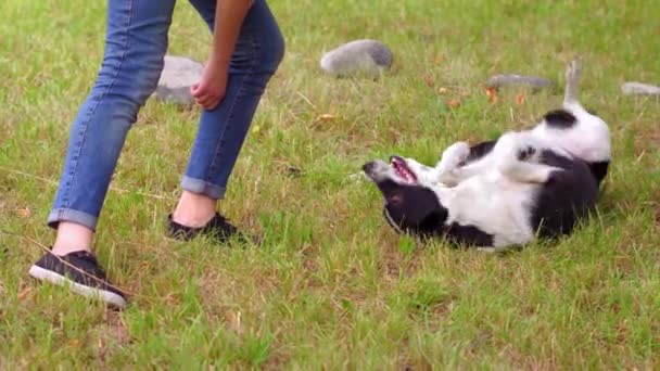 Tiener meisje spelen met haar hond in de ranch. — Stockvideo